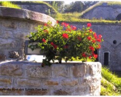 fort des basses perches