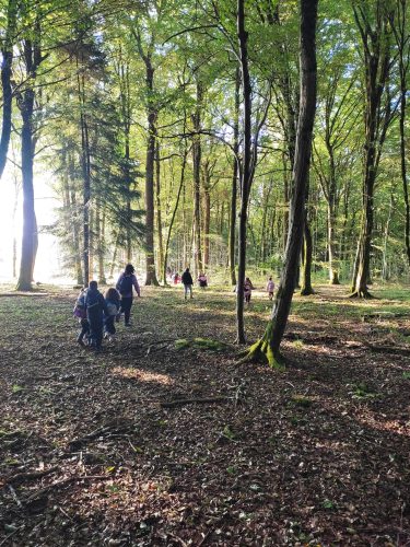 forêt2 forêt2